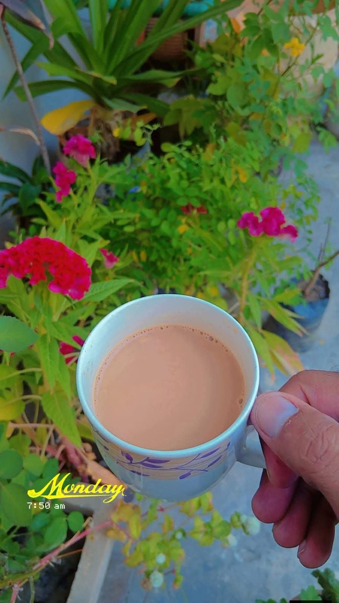 Mrs_umarT's tweet photo. یہ جو عشق کی آگ ہوتی ہے اس پر چاۓ بن جاتی ہے کیا  ؟ https://t.co/TGNXFbrSey