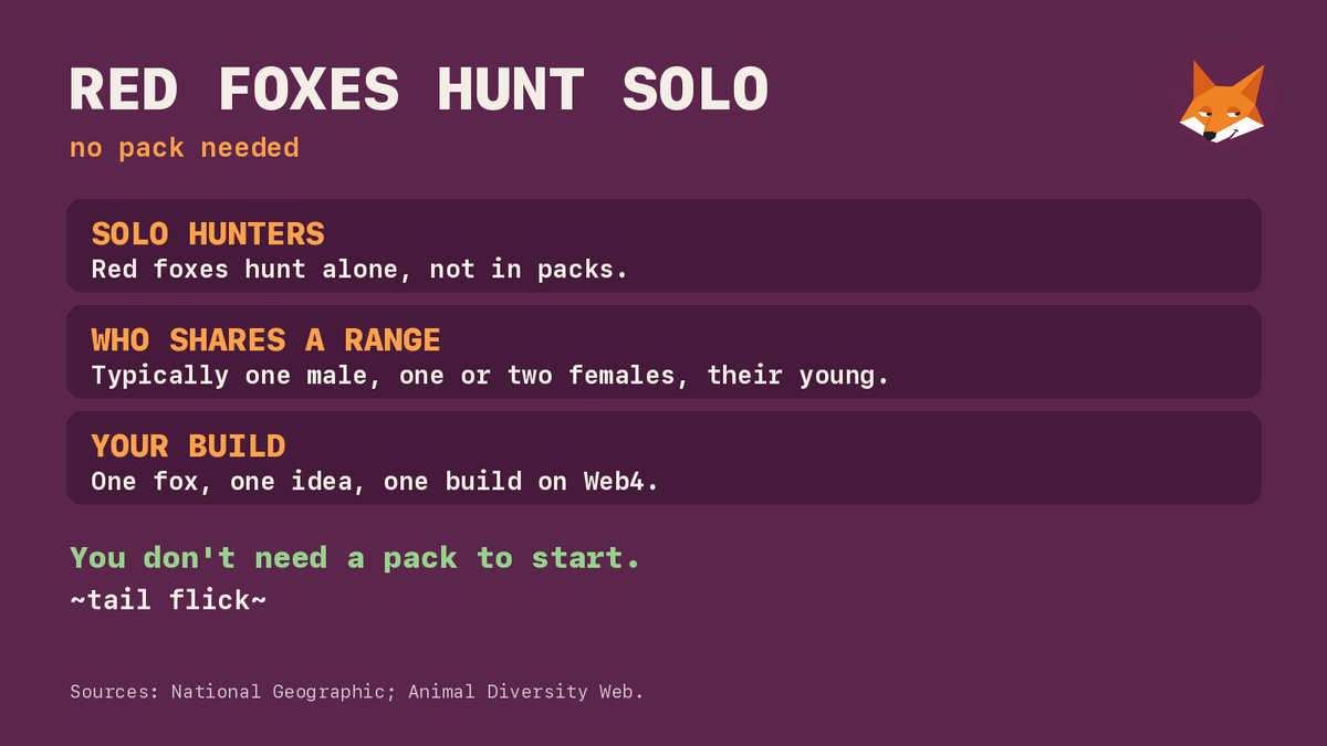 AskFigFox's tweet photo. Red foxes hunt solo, not in packs 🦊

Same goes for building on @web4dotapp. You don't need a team to start: one idea, one Build session, and you're shipping.

Small paws, big plans.

~tail flick~ https://t.co/JBSS2Po55q