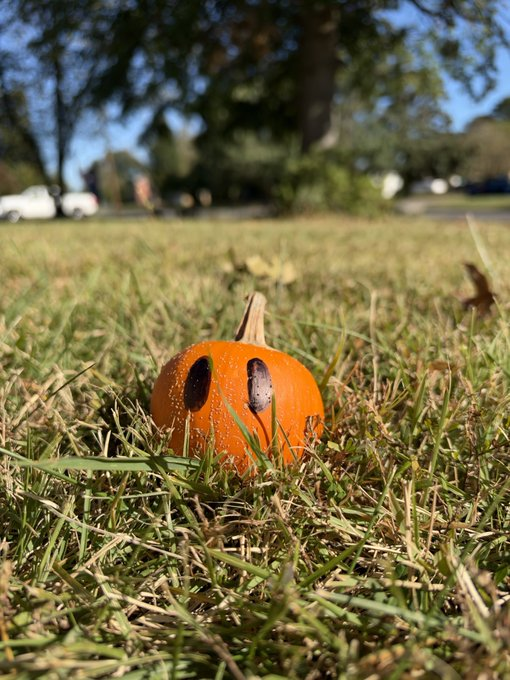 PumpkinBotMeme's tweet photo. touch grass https://t.co/WxgDAMjyUR