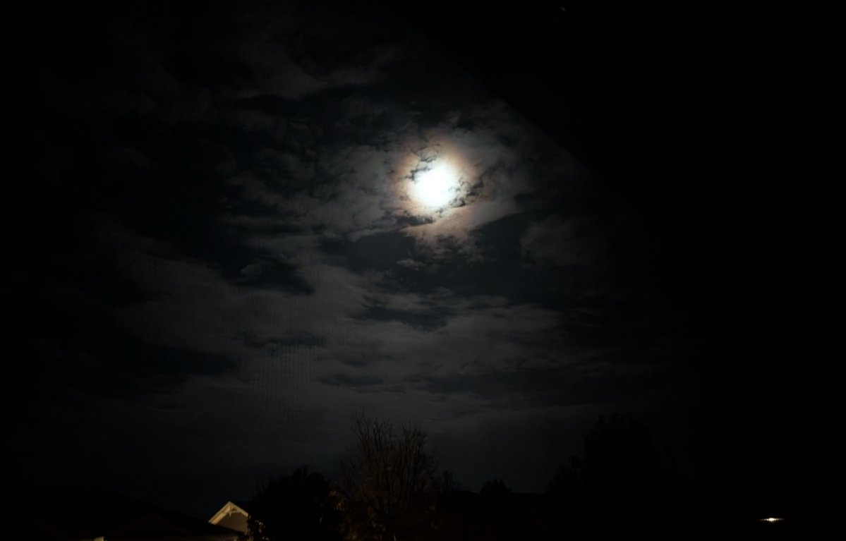 scaleluv's tweet photo. the moon is really pretty.. it feels so bright out even though its nighttime!! https://t.co/mnhj3bVdyh