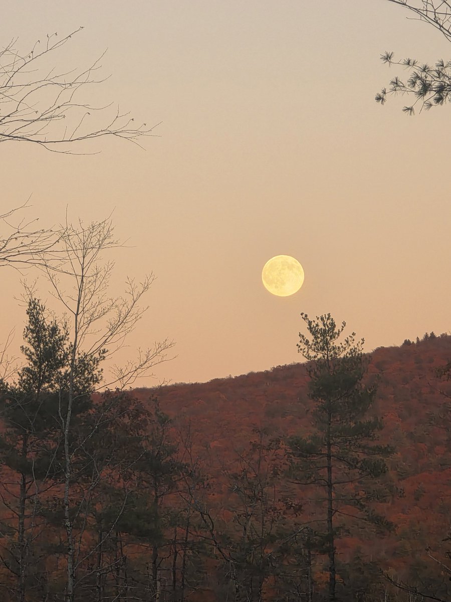 Training_Lady's tweet photo. Earlier  tonight  driving from Mount Monadnock stopped for the moon dance ...
"  Well, it's a marvelous night for a moondance
With the stars up above in your eyes
A fantabulous night to make romance
'Neath the cover of October skies
And all the leaves on the trees are falling
To the sound of the breezes that blow
And I'm trying to please to the calling
Of your heartstrings that play soft and low..."