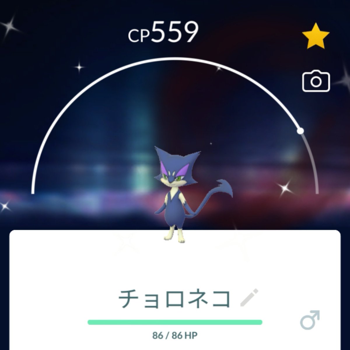 ka6fg's tweet photo. おでかけキャッチャーが色違い捕まえてくれてた🐾✨
#PokemonGO https://t.co/j2MGuY6bIP