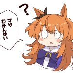 Photo by みかんむいてほしい (@orange3peel)