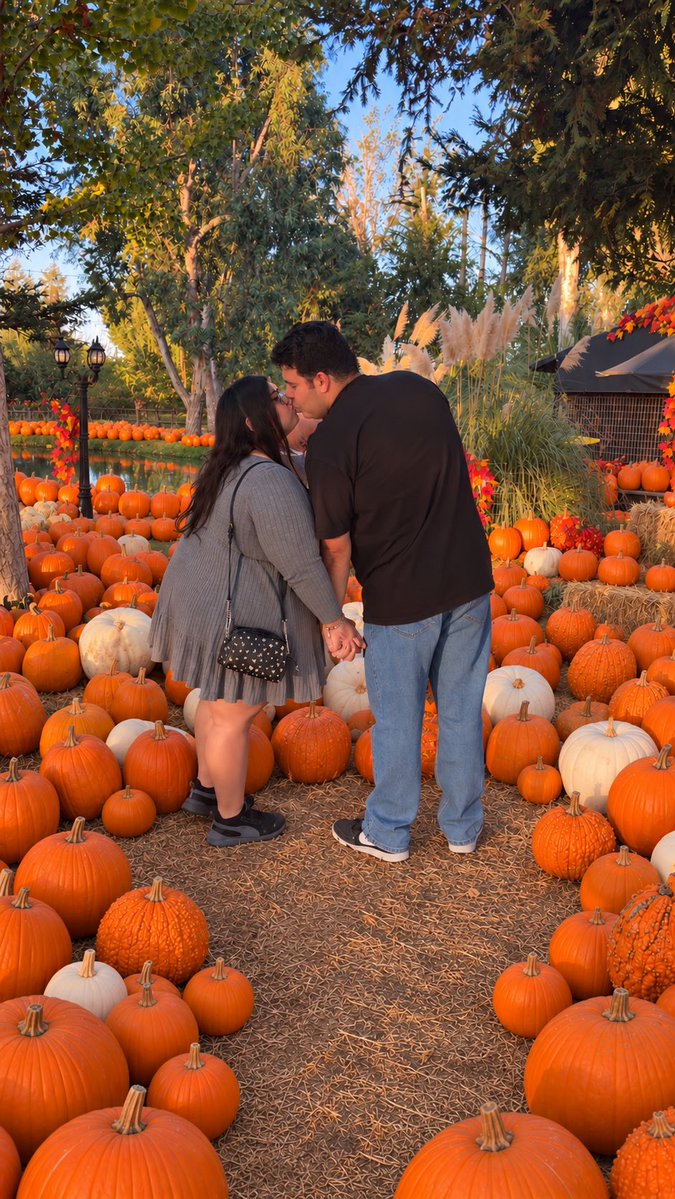 MsAnnieCakes's tweet photo. I love being the cutest pumpkin at the patch 🎃🧡 #ThickThighs #SavingLifes #PumpkinPatch #SpookySeason #Fyp #fypシ゚viral #plussize #bbw #thunderthighs https://t.co/opKJgv9Qnj