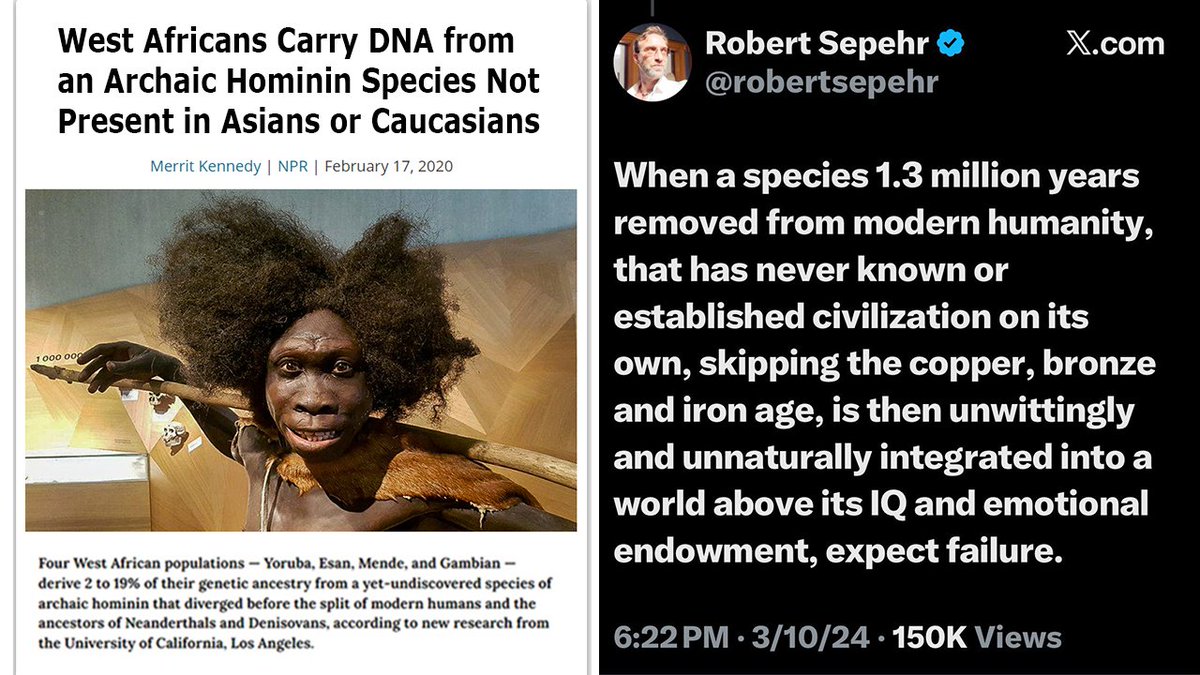 waffenJohnSmith's tweet photo. @BLKRaceRealism @Smoothwalker88 😂 Your people are the lowest IQ group of primal hominids on Earth.

Wishing won't change that.

We don't need you or want you. African re-migration is the future.😉 https://t.co/UbmD62M6zc