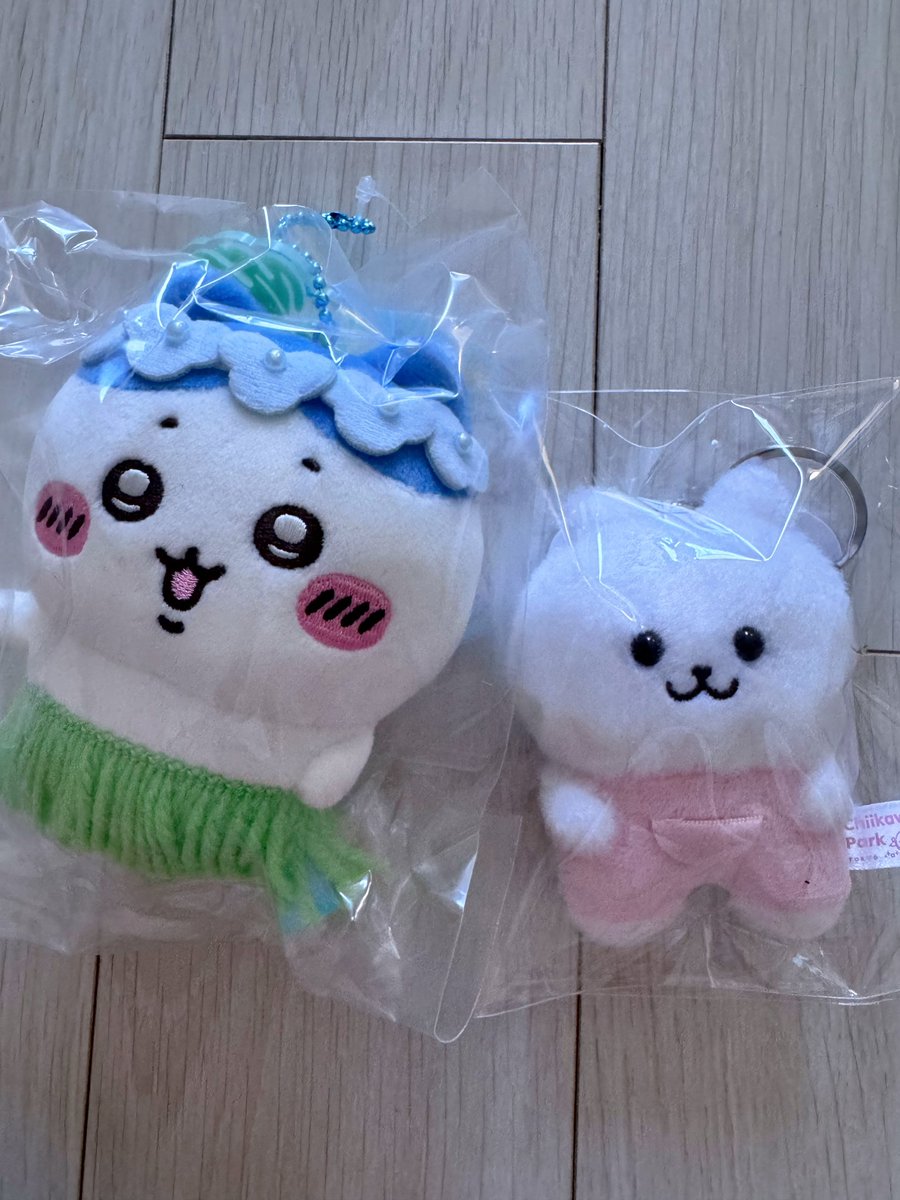 bibobibo1719's tweet photo. 오늘 온 아기들 https://t.co/erM22VE4dV