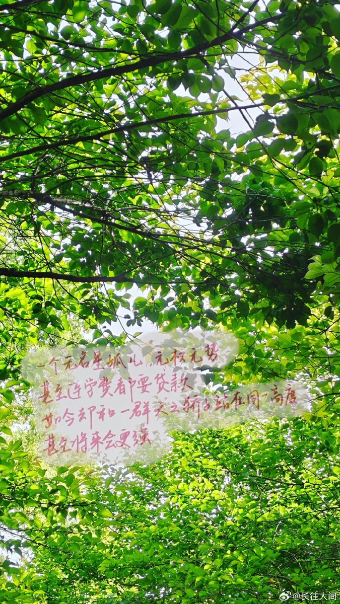 rcqbNNdCL1ERVN0's tweet photo. 「感謝の木を見ると、心が温かくなる。日常の小さな幸せを教えてくれる大切な存在だ」， https://t.co/z8UWg4lULz