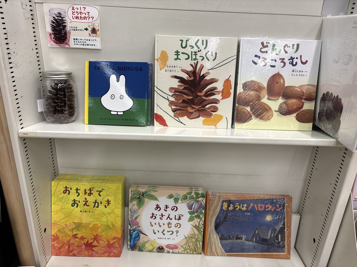 fukuinkanhanbai's tweet photo. #紀伊國屋書店本町店 では
「秋の絵本フェア」を展開しています。
秋ならではご展開です✨『びっくり まつぼっくり』のお隣には本物の松ぼっくりもございます◎ぜひ店頭でご覧ください。
#福音館書店 #絵本 https://t.co/FL7PX2AQl7