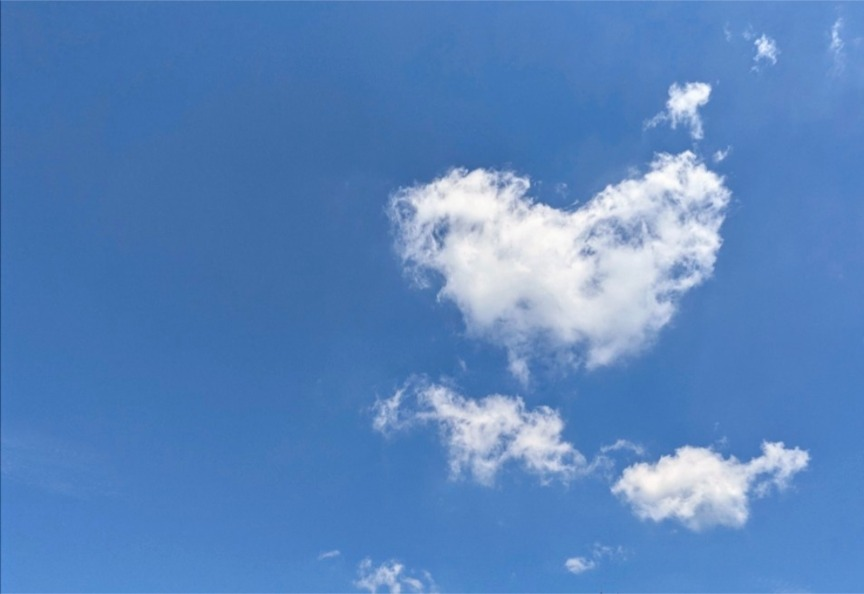 _bitcoiner's tweet photo. Blue skies forever. 💙☁️ https://t.co/dEn6FCnFsT