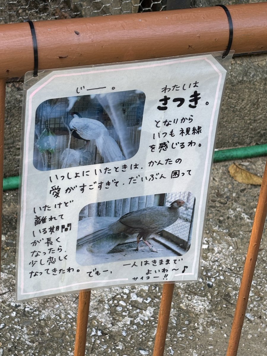 Lane_createAcc's tweet photo. 高岡古城動物園の掲示が尽く可愛いことを全人類に知ってほしい https://t.co/ireSn9cYL9