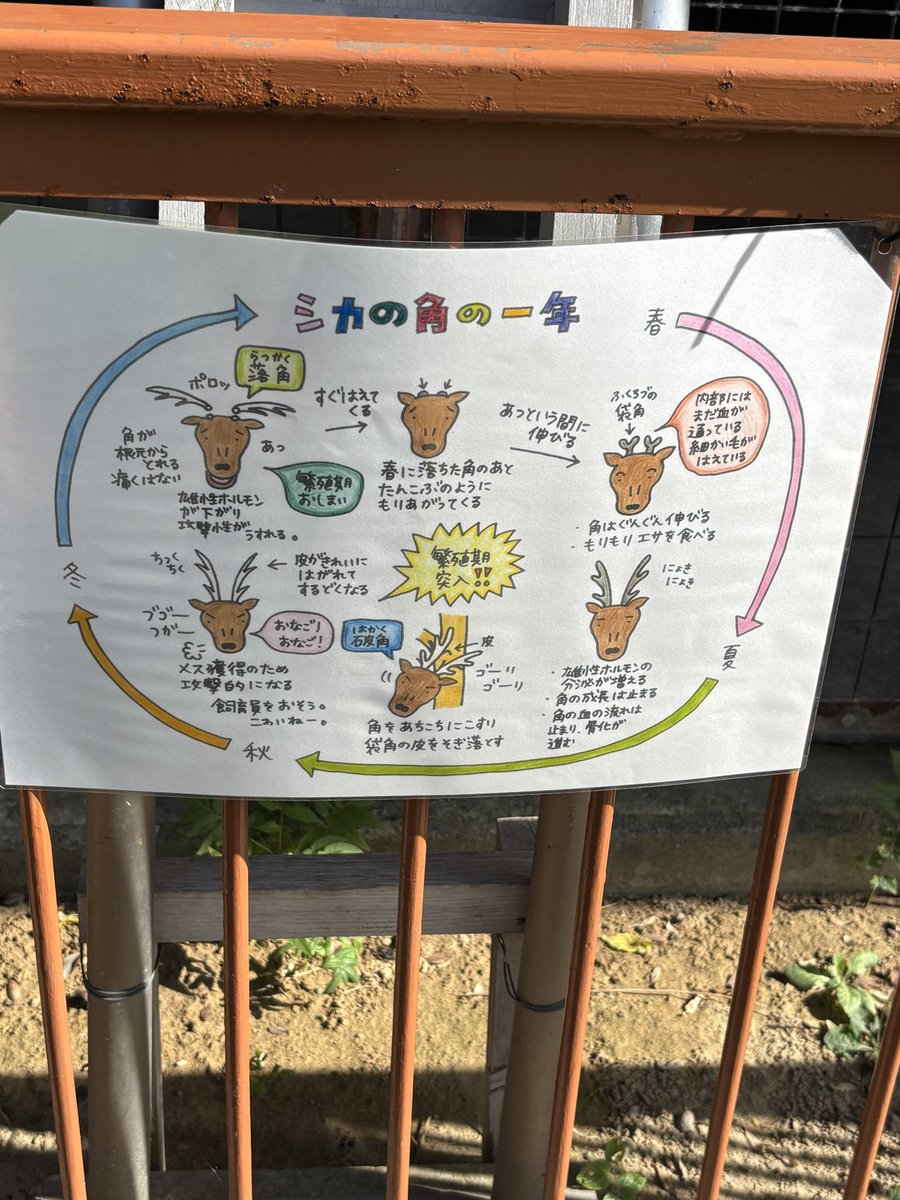Lane_createAcc's tweet photo. 高岡古城動物園の掲示が尽く可愛いことを全人類に知ってほしい https://t.co/ireSn9cYL9