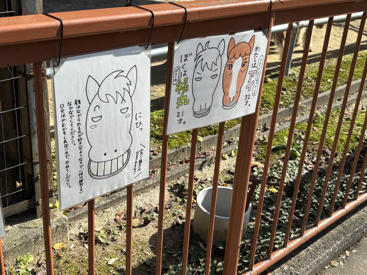 Lane_createAcc's tweet photo. 高岡古城動物園の掲示が尽く可愛いことを全人類に知ってほしい https://t.co/ireSn9cYL9