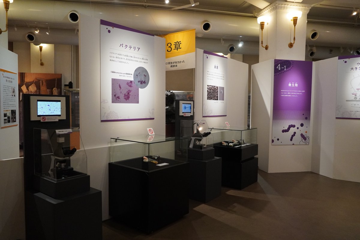 museum_kahaku's tweet photo. ━━━━*＼ 🧑‍🔬 明 日 開 幕 🦠 ／*━━━━

本日 #かはく では、#野口英世 生誕150年記念企画展「感染症への挑戦：過去・現在・未来」の内覧会を実施しました！

本展では野口英世の生涯のあゆみと業績を振り返りながら、「感染症」との終わりなき闘いについて紹介します。 https://t.co/Xl28E9tv0T