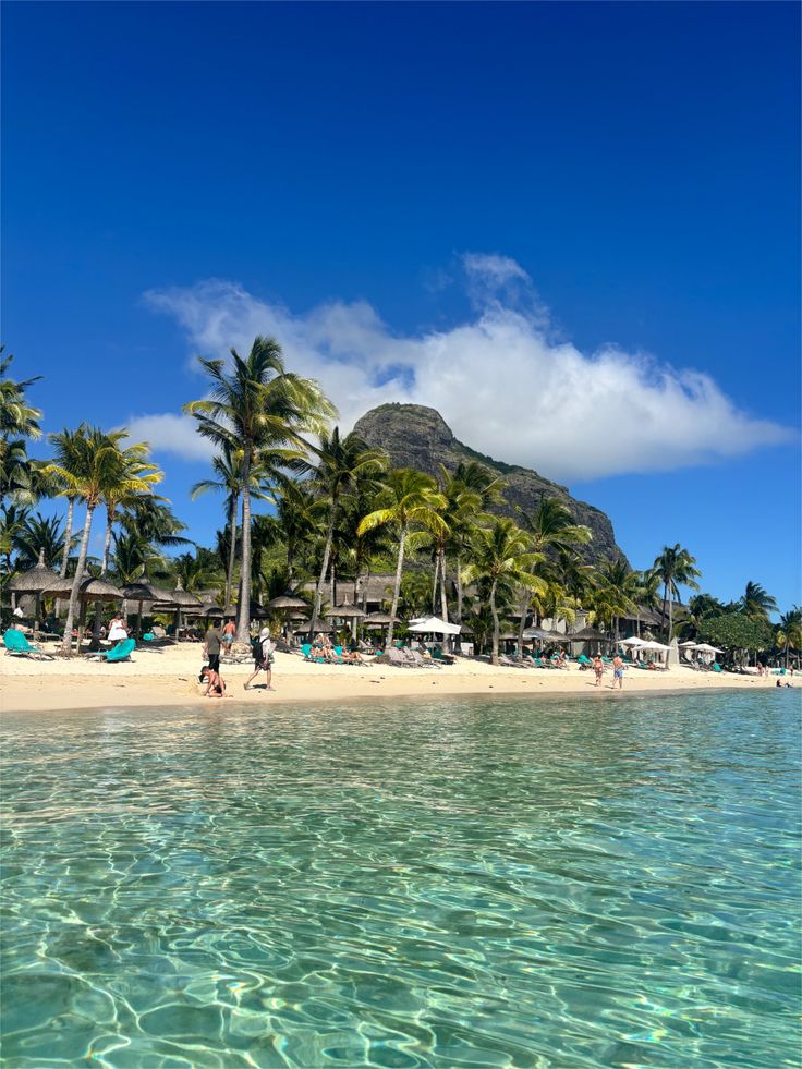 MauritiusGuide's tweet photo. Monday starter pack in Mauritius https://t.co/POgGlscmY9