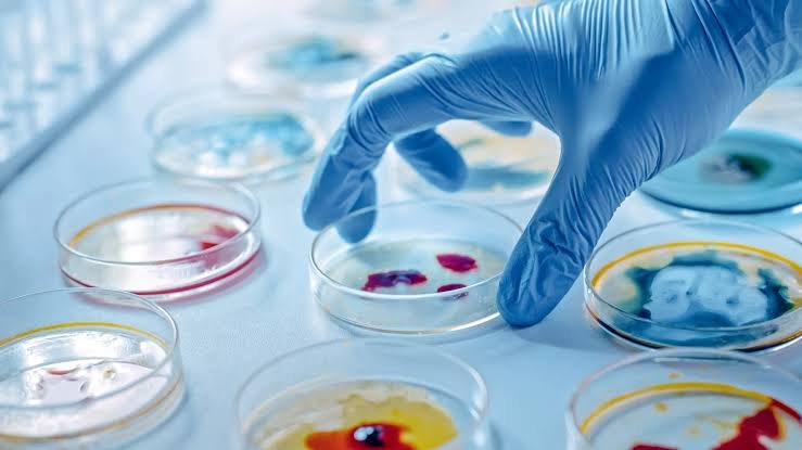 DrMorrisAD's tweet photo. Chapter 33
#MedicalMicrobiology https://t.co/ScAXwa4FuZ