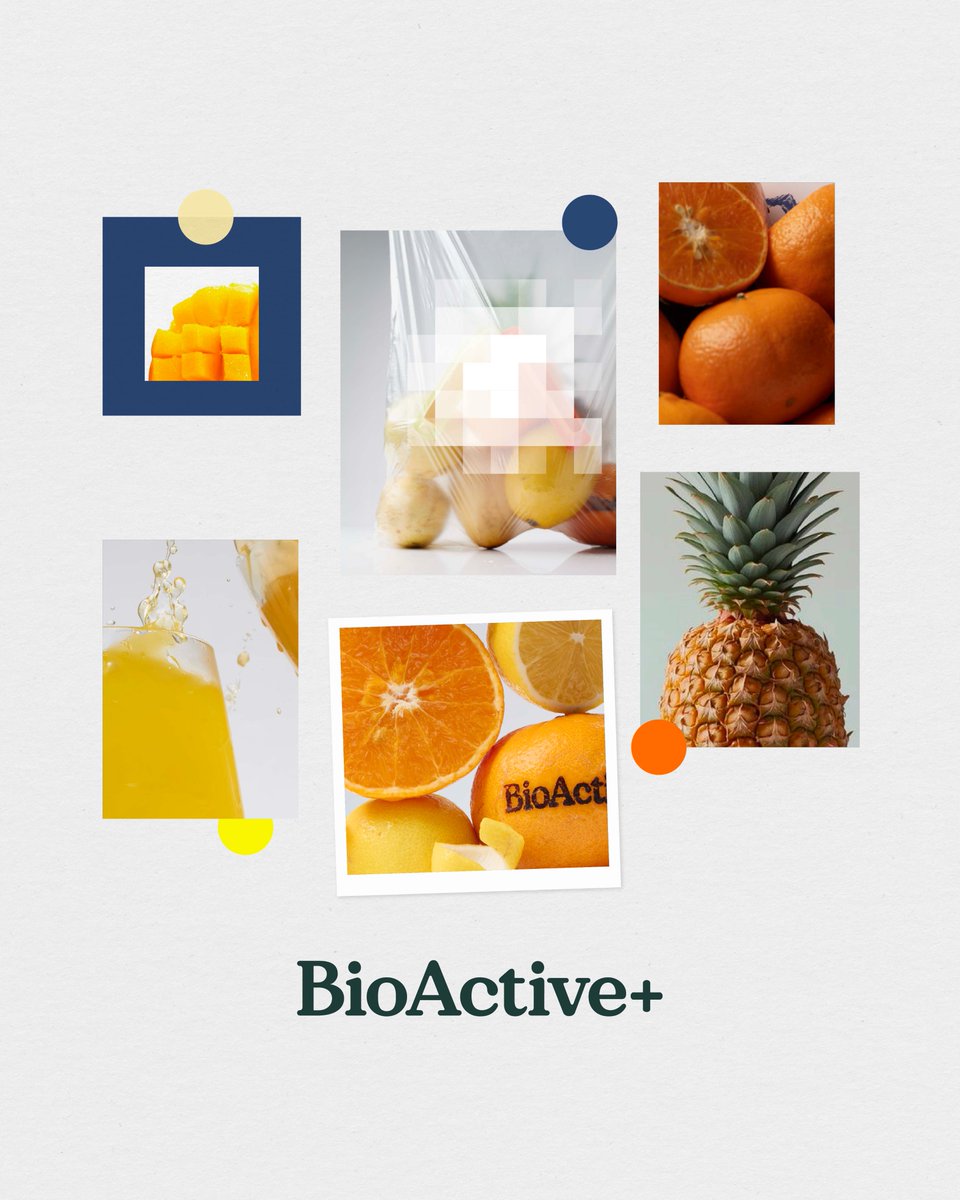 BioActiveTH's tweet photo. GOOD THINGS COME IN TWOS. 👀✨

รอบนี้ไม่ได้มาแค่ 1 แต่ครั้งนี้… มาแบบ x2 💧💧

BioActive+ เตรียมเปิดตัว  
2 สูตรใหม่พร้อมกัน

2 สี  
2 รส  
2 สูตร

เดากันได้หรือยังว่า…  
รอบนี้เรากำลัง DROP อะไร?

#BioActiveTH https://t.co/w9TXzMzC0b