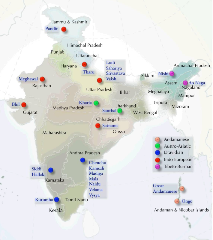 Joy_Nanda24's tweet photo. The study sampled 25 groups across India and found higher ANI-related ancestry among traditionally upper-caste populations and Indo-European speakers.

#ANI #IndianGenetics #SouthAsianAncestry https://t.co/TxznBWIgFE