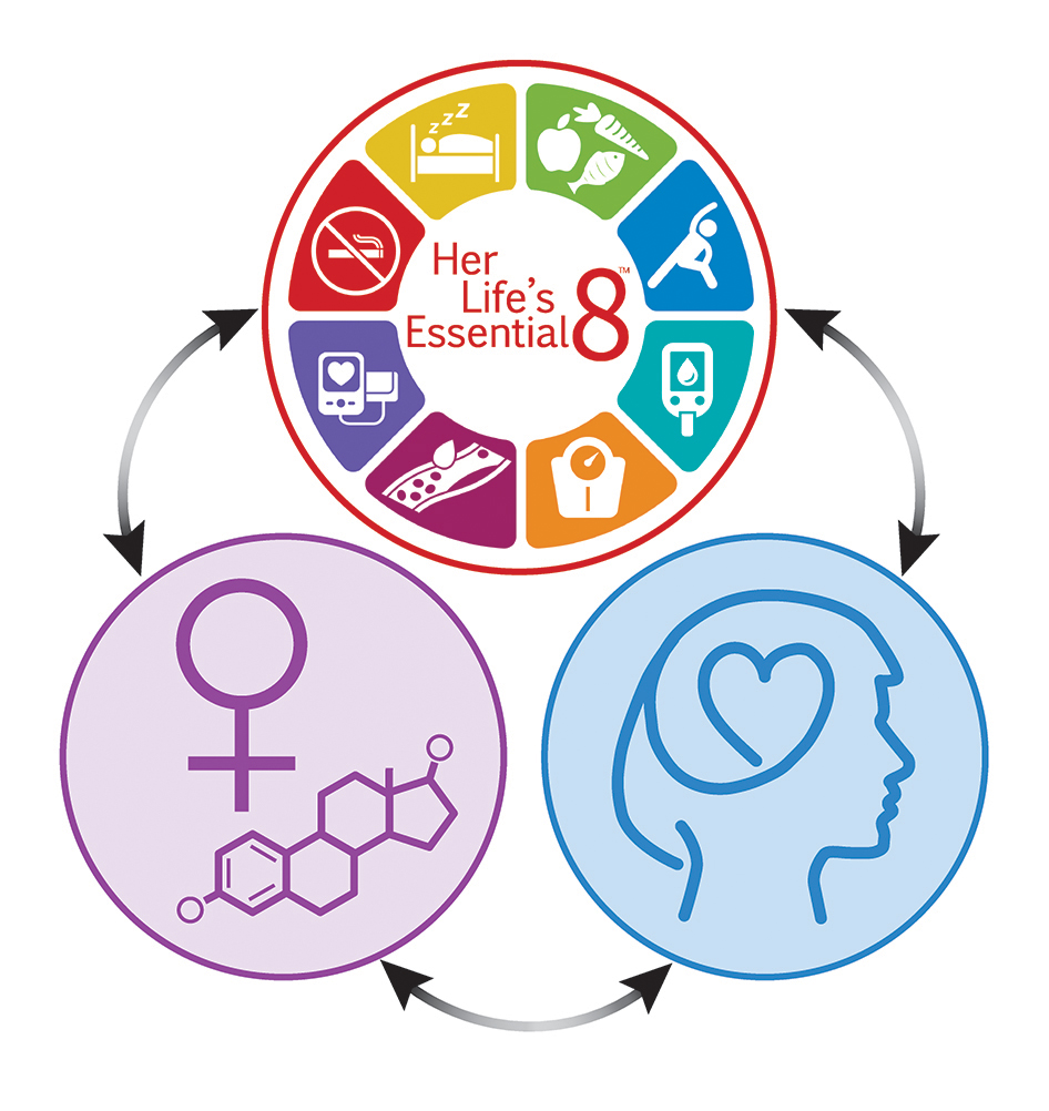 AHAScience's tweet photo. A paradigm shift in women’s cardiovascular (CV) care is required.

This Female Life Stage framework provides a unifying, person centered approach across the life course beginning with menarche and through the years after menopause to optimize CV health for all girls, women, and their communities. 

Physiologic changes in sex hormones define clinically distinct life stages: perimenarche, ovarian cycling, perimenopause, postmenopause, each informing female-specific screening, prevention, and management. The peripregnancy period and exposure to exogenous hormone therapy can be considered as cross-cutting modifiers. Premenarche does not have sex-specific guidance for CV health, but is a foundational period to long-term CV health with CV health behaviors and attitudes being developed early.

@American_Heart, @AmerAcadPeds, @acog and the Society for Maternal-Fetal Medicine jointly approve this shared model.

📷 Interconnected hormonal, psychosocial, and cardiovascular health across the female life course.

✍🏼 @heartDocSadiya

https://t.co/aIw557Ic8u