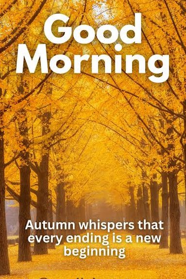 MichealFexpert's tweet photo. Good morning to everyone, Wishing you a wonderful Monday. I chose this picture for its words - each end is a new beginning. May whatever you do today end brilliantly. Carpe Diem.  #WritingCommunity #newday #mondaythoughts #goodmorning https://t.co/kD9uCNys8S
