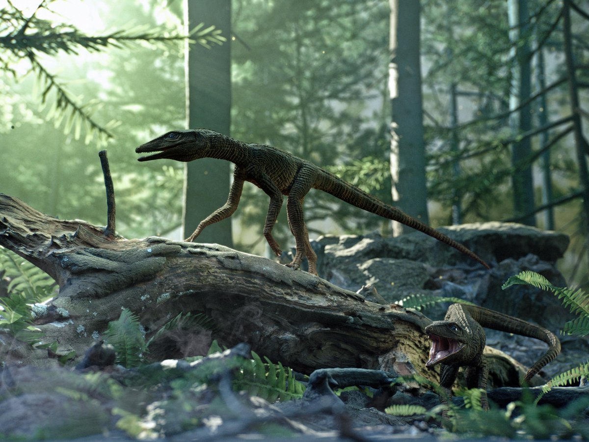 Sketchy_raptor's tweet photo. Creepers in the Woods: Galahadosuchus https://t.co/QNooYN01I3