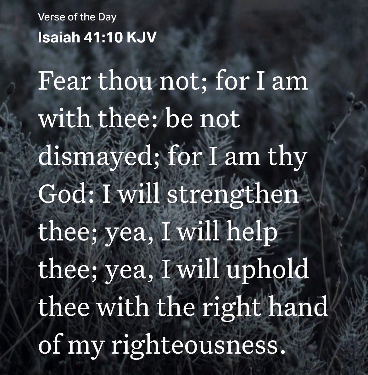 BusFan7970's tweet photo. #JesusIsLord 
#jesus
#jesusisking
#jesusiscomingbacksoon https://t.co/YW0v9Pc81B