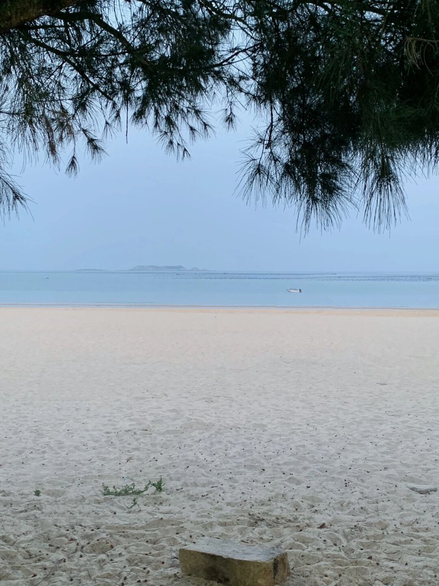 Mabcdefg1234567's tweet photo. 海の波が岸に迫り、古い店先で何かを猜る——そんな午後が好きだ。 https://t.co/AcNKds4pOb