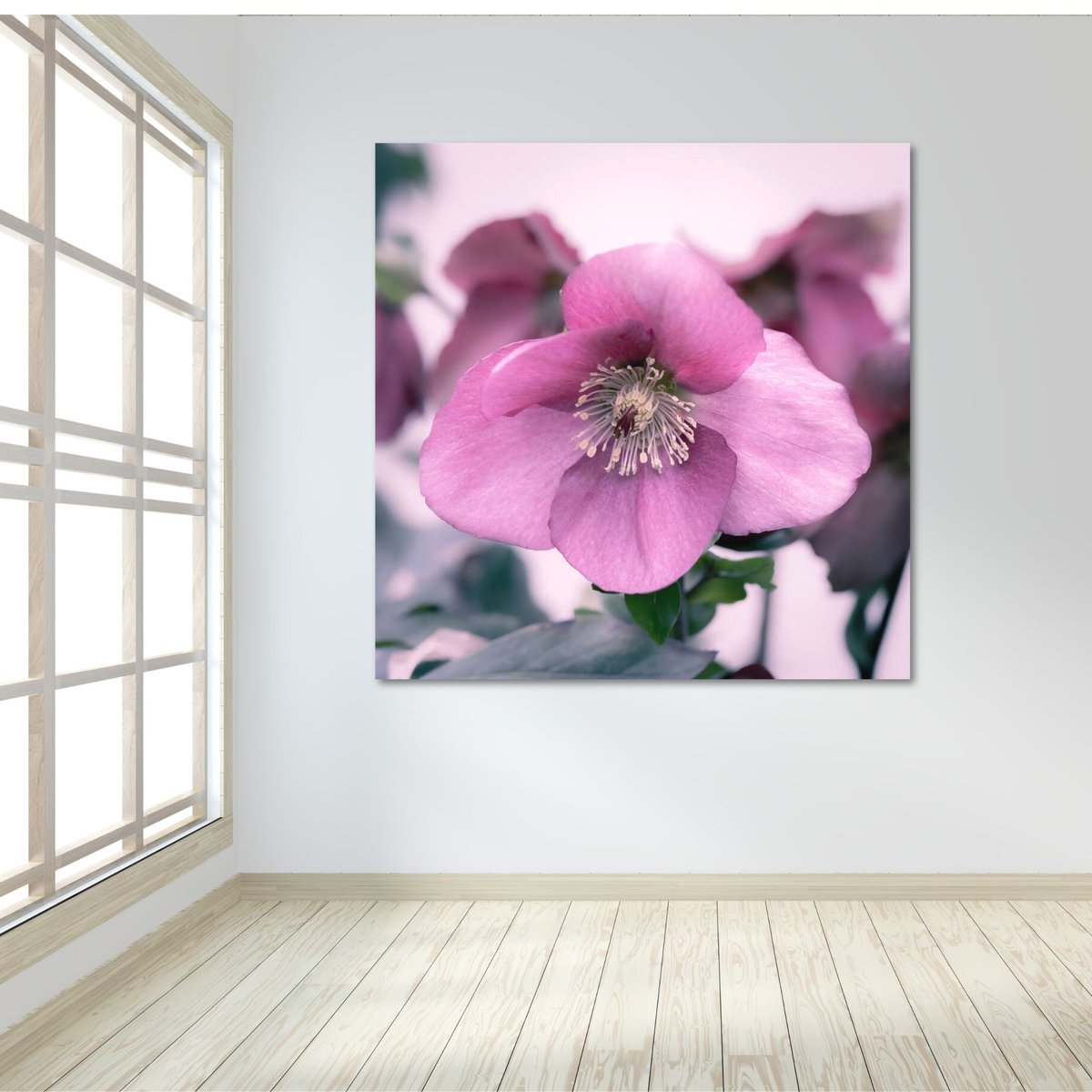 Halabore Pink Hellebore Flower https://t.co/uPbZLXN8LT #wallart #floralart # ...