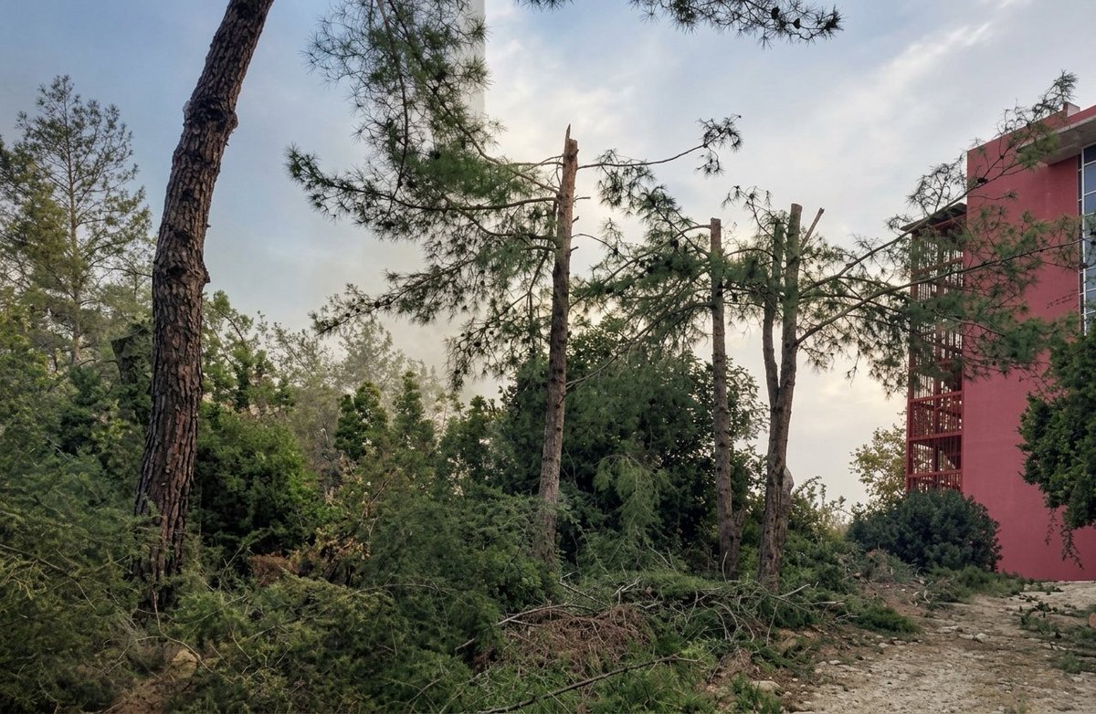 haskologlu's tweet photo. Adana'da bir villa sahibi 30 yıllık çam ve okaliptüs ağaçlarını 'manzarası kapanıyor' diye kestirdi.

Olayla ilgili soruşturma başlatıldı. (KüçükSaat)

Normal bir ülkede şunu yapabilmenin bir imkanı yoktur. İsteyen istediği yeri yok edebiliyor. https://t.co/QKWkt4eGY2