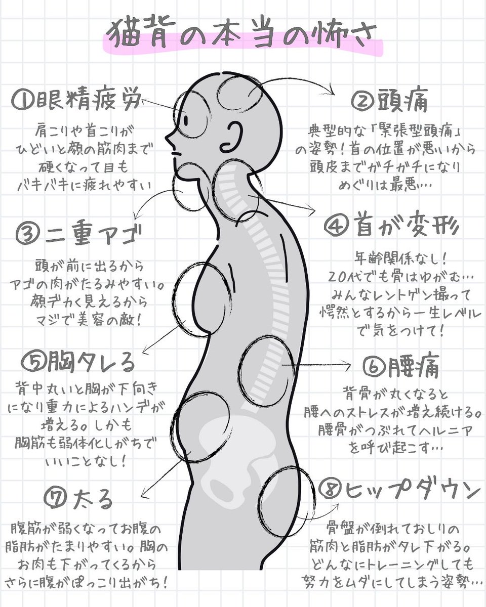 Haru_Body_Lab's tweet photo. 理学療法士だから知る『猫背ノート』8選→ https://t.co/2kB6RwHy0O