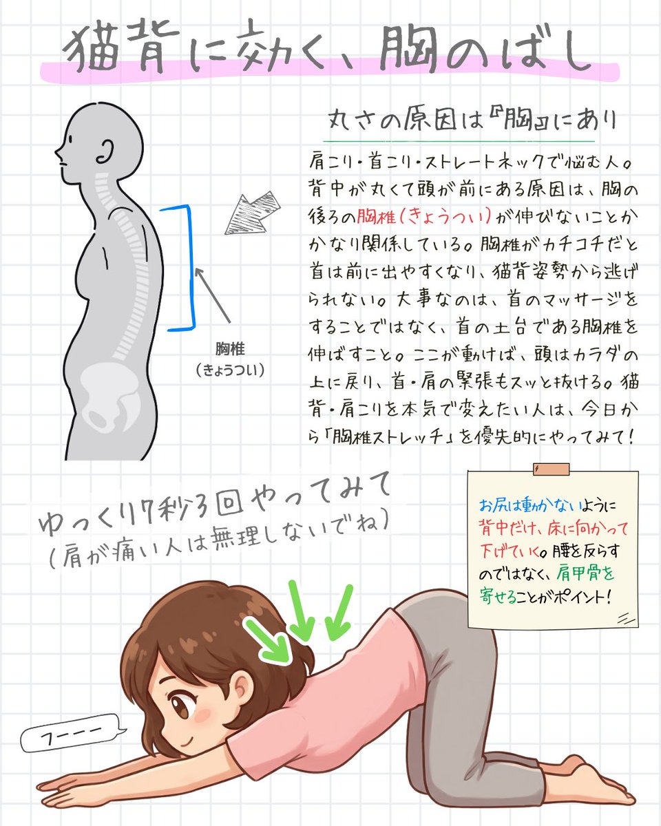 Haru_Body_Lab's tweet photo. 理学療法士だから知る『猫背ノート』8選→ https://t.co/2kB6RwHy0O
