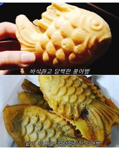 prettybat's tweet photo. 우리 너구리들한테 한국음식 소개할때 
한국음식은 우리말로 알려주자.
붕어빵, 삼겹살, 닭한마리, 콩나물해장국, 감자탕.
일본 너구리들이 그걸 더 좋아하지 않을까?
번역이 잘못되면 괴상한 제목이 되어버리니까. 
일본 너구리 들 내 말이 맞지? https://t.co/XD6PbWtAqG