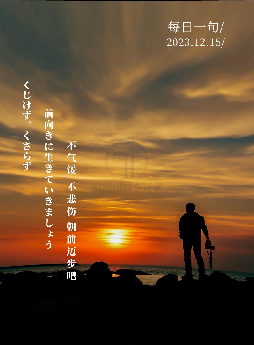 colagumi's tweet photo. 夜の街で冷えたビールを片手に、昨日の笑いと今日の小さな悩みをふわりと抱えて帰る。この季節の何気ない瞬間が、心をほぐしてくれるんだ https://t.co/vIWdz2hLL6
