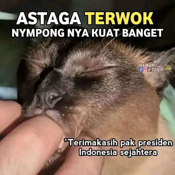 ra_did45's tweet photo. @ibayu019 Dari agency mana mas? https://t.co/YaGNkUmzv1