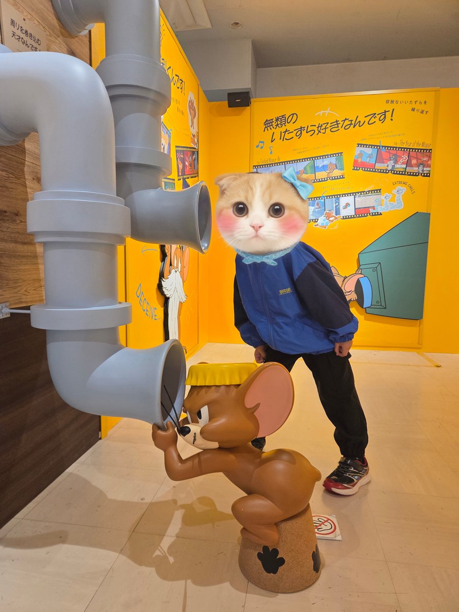 junichi_voice's tweet photo. 今日は小学校の代休日でした！
燈とトムとジェリー展に行ったよ！ https://t.co/hVmnwrosRm