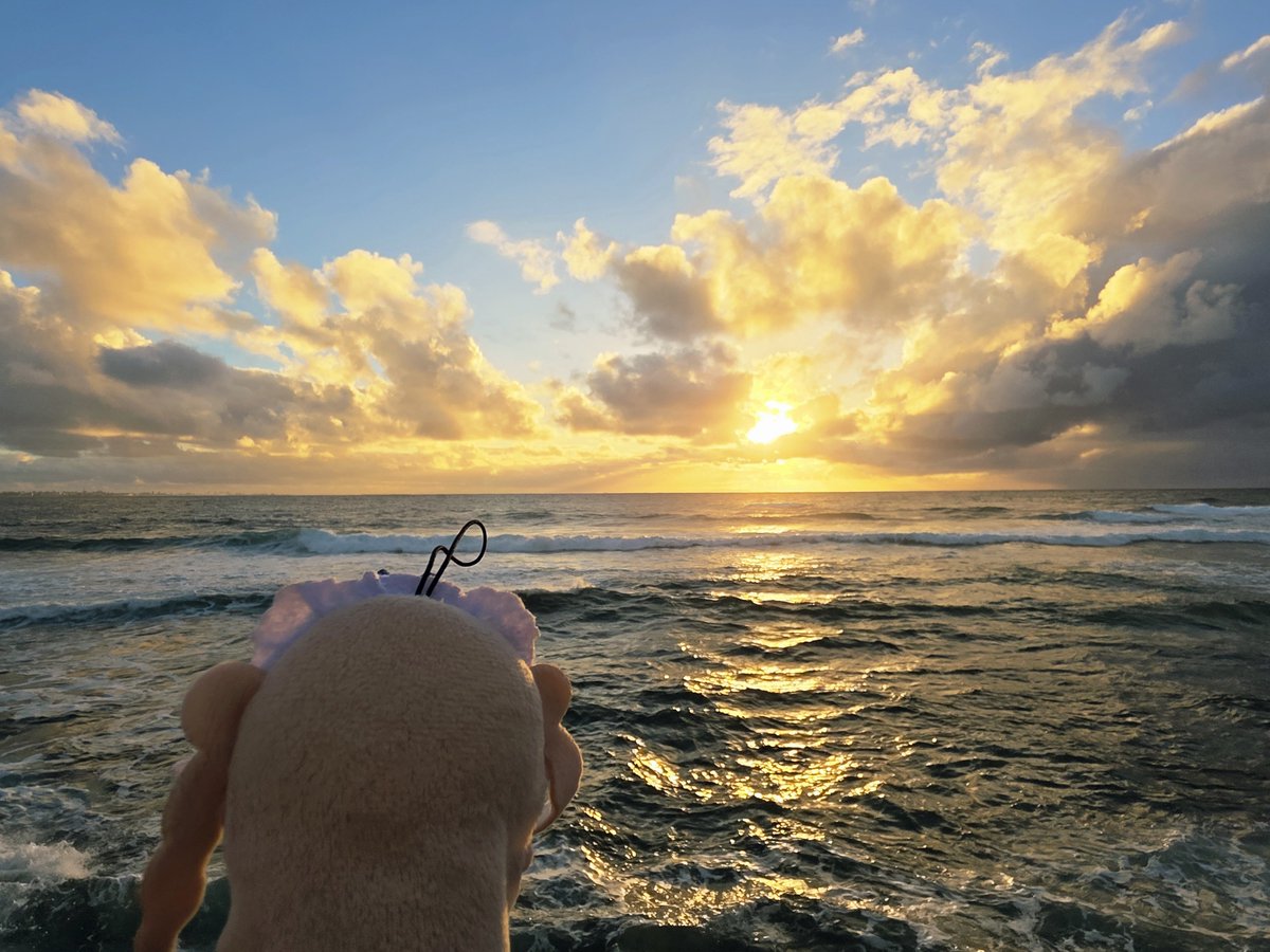 Fatesmite's tweet photo. 沖縄の海は綺麗ですね…
まさに美ら海！

#ちまぱぺと一緒 https://t.co/Kb9iNxzPfO