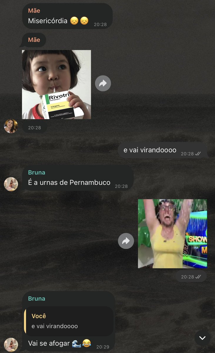 rabaxiii's tweet photo. TENHO UMA SEQUENCIA LINDA DE PRINTS NO MEU GRUPO DA FAMILIA LOTADO DE BOLSOMINIONS + https://t.co/xqyuSIT8Jv