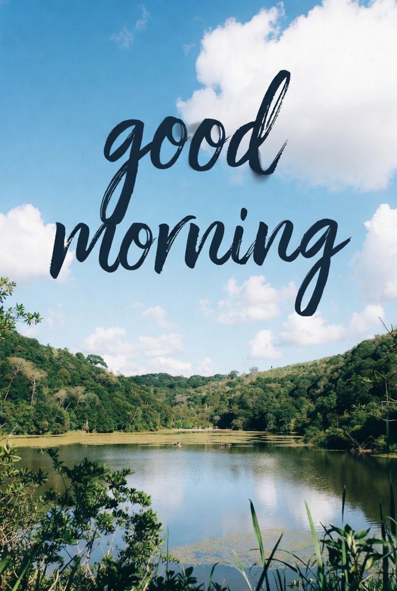 YBudget1170's tweet photo. Good morning people of X https://t.co/cEeedhuDkP