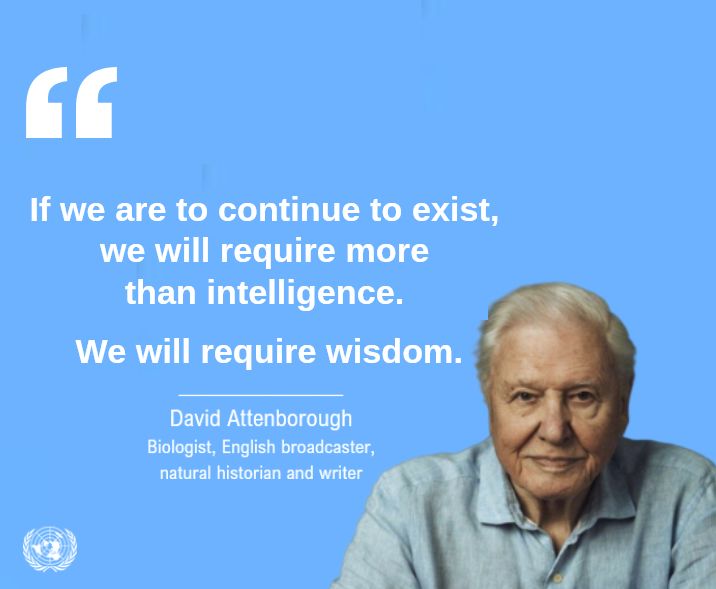 UNGeneva's tweet photo. “If we are to continue to exist, we will require more than intelligence. We will require wisdom.”

David Attenborough's words remind us that protecting the future of our planet remains in our hands 🌏

#ActNow #MondayMotivation #COP17 https://t.co/aBdf6Upiav