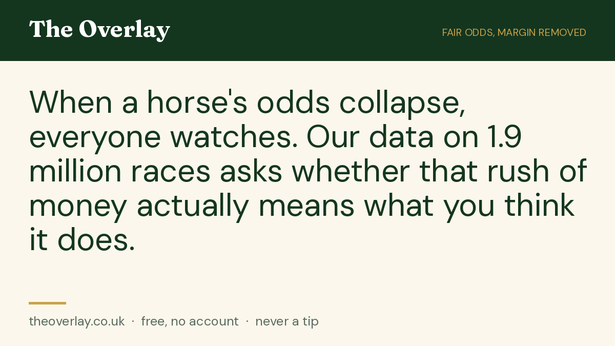 theoverlay_couk's tweet photo. When a horse's odds collapse, everyone watches. Our data on 1.9 million races asks whether that rush of money actually means what you think it does.
#HorseRacing #Racing #UKRacing #IrishRacing #USRacing https://t.co/v4xvze7ylM