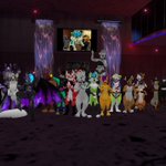 Photo by Chief the Dalmatian (@ChiefDal)