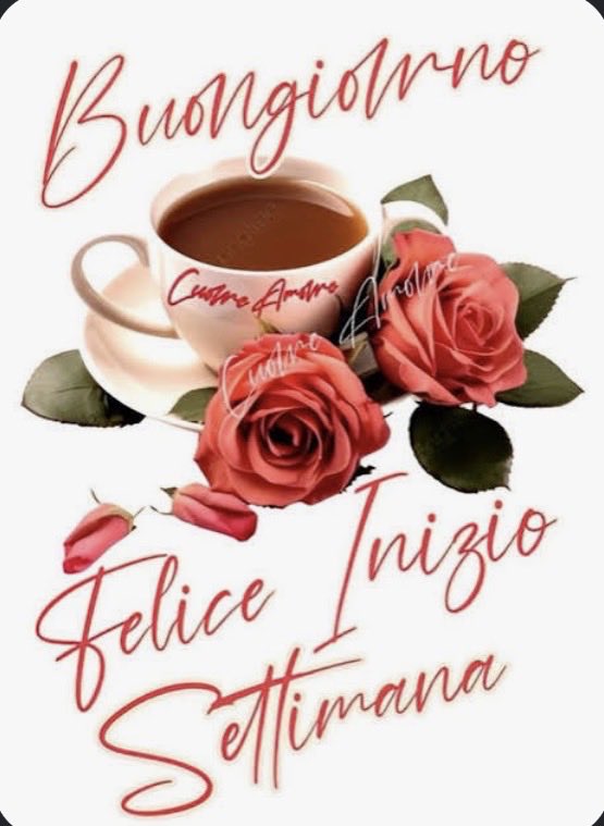 MarianoSaba2's tweet photo. @MariaLu91149151 🤗🥰😘 https://t.co/a7SbhYn1vq