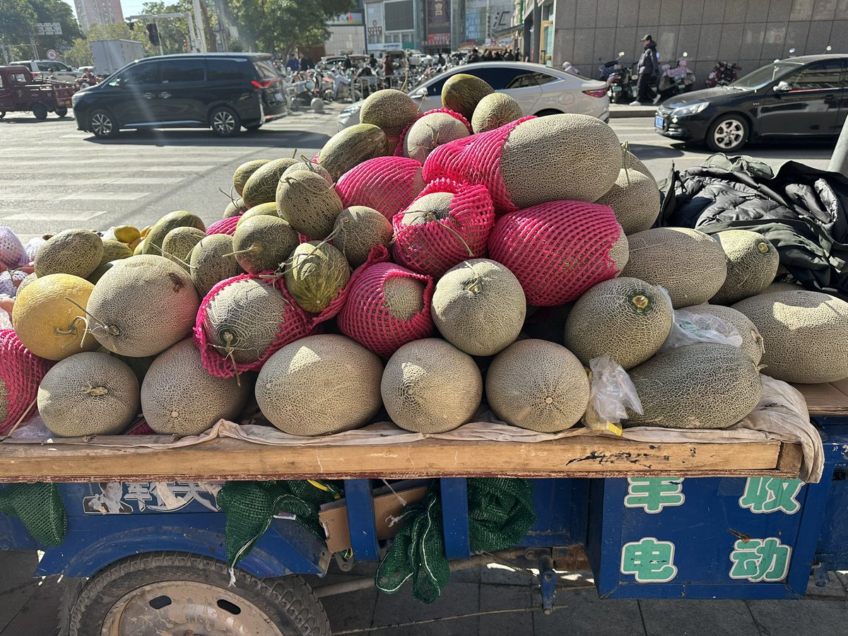 Tra10voy11U's tweet photo. 📍哈密で哈密瓜🍈  シーズンじゃないから高いか安いかはわからん 6元
果肉がこんな緑なのにめちゃくちゃ甘いんだからびっくり😆
小さいの選んだけど1人じゃ食い切れないから誰か食べに来ませんか？ https://t.co/XUmJh0j7cz
