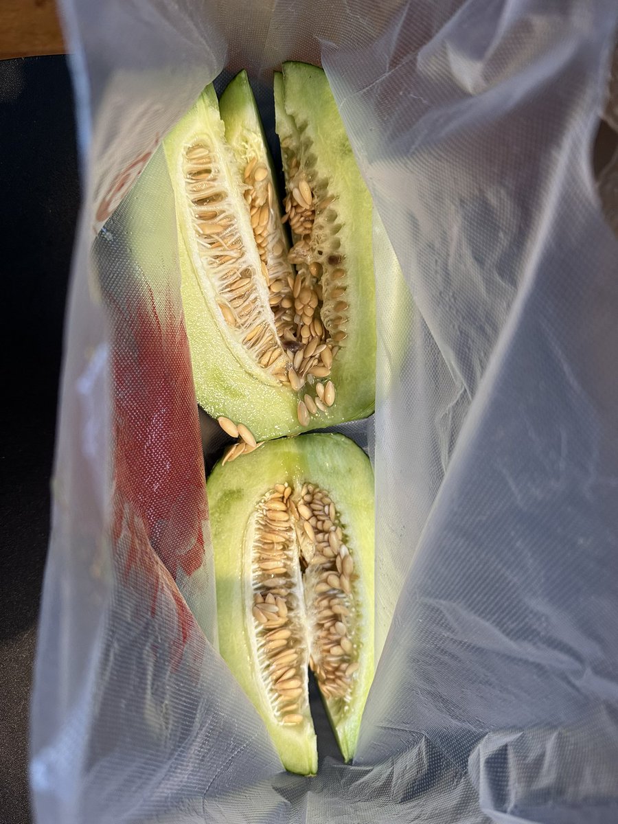 Tra10voy11U's tweet photo. 📍哈密で哈密瓜🍈  シーズンじゃないから高いか安いかはわからん 6元
果肉がこんな緑なのにめちゃくちゃ甘いんだからびっくり😆
小さいの選んだけど1人じゃ食い切れないから誰か食べに来ませんか？ https://t.co/XUmJh0j7cz