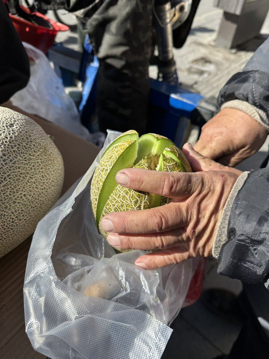 Tra10voy11U's tweet photo. 📍哈密で哈密瓜🍈  シーズンじゃないから高いか安いかはわからん 6元
果肉がこんな緑なのにめちゃくちゃ甘いんだからびっくり😆
小さいの選んだけど1人じゃ食い切れないから誰か食べに来ませんか？ https://t.co/XUmJh0j7cz