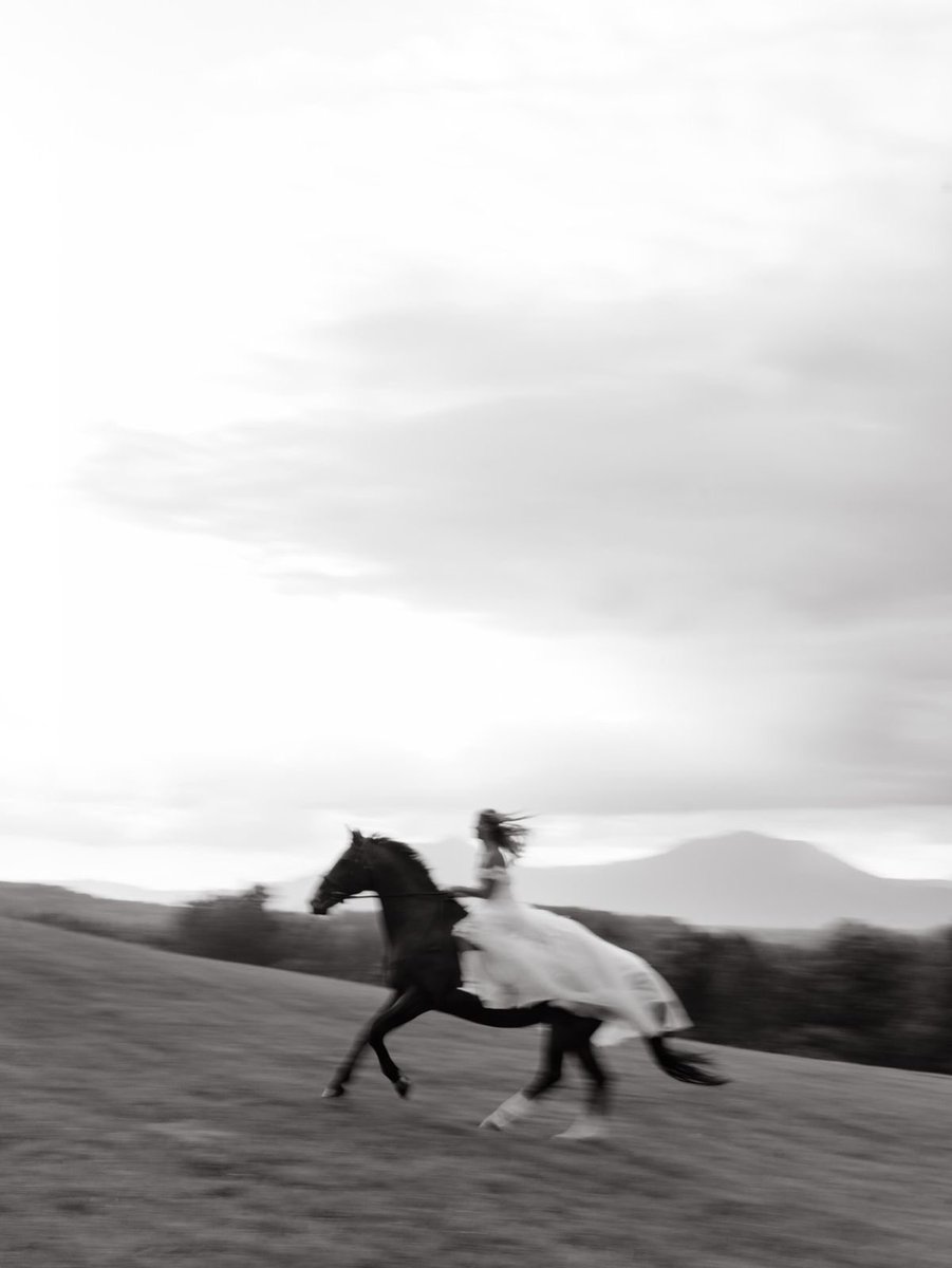 DAXdB's tweet photo. Così ho cavalcato cavalli d’ombra
e gli altri mi hanno visto 
correre senza briglie
mi hanno considerato pazza.

Alda Merini🖋️

©️Pinterest https://t.co/MYqed0ZCfV
