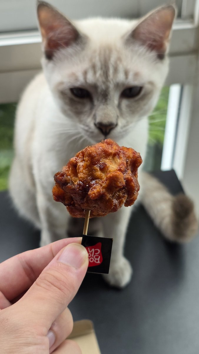 geegissss's tweet photo. มากินไก่กันมั้ยย 🍗✨ วันนี้เต้าหู้ขอป้ายยา Bonchon หน่อย

ตอนนี้เขามีโปรเริ่ด ๆ อยู่ด้วย ใครจะสั่งอย่าลืมใส่โค้ดใน LINE MAN นะ ลดได้อีกคุ้มมาก ไปจัดกันน 📍
🛵 https://t.co/H8QlSIYZ4O

#LINEMANGrandsale https://t.co/zbymTQ5x6E