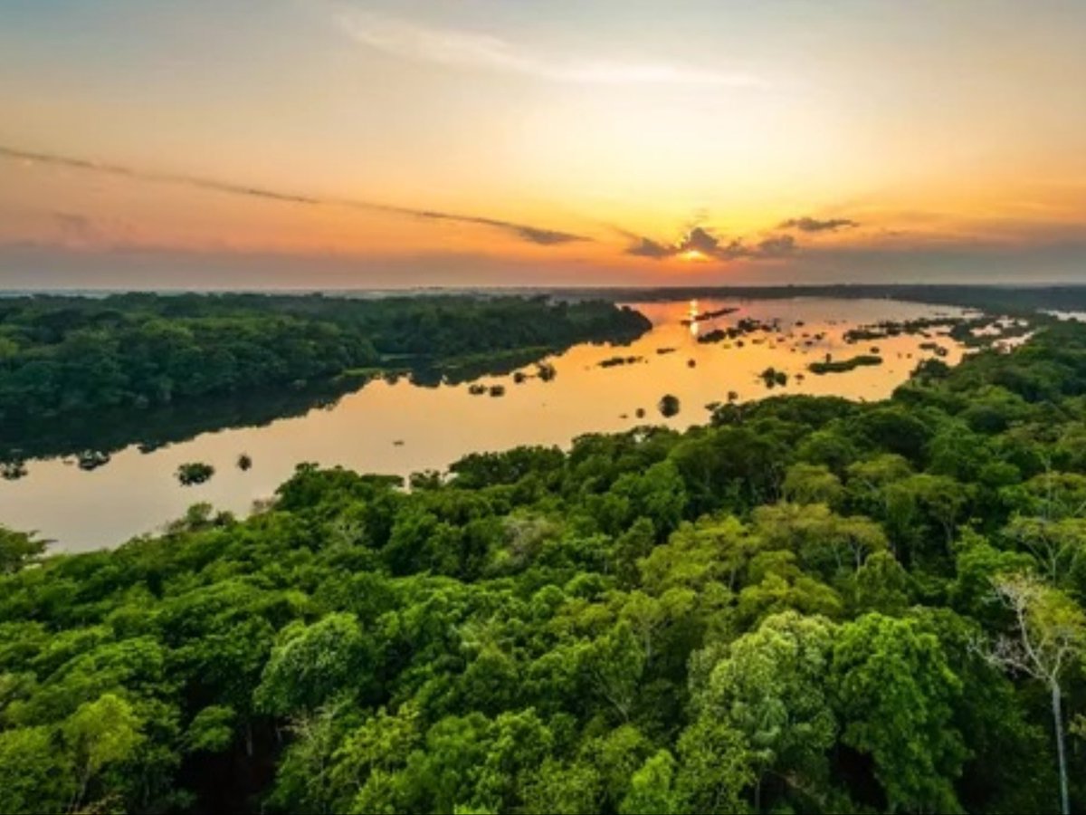 ErikSolheim's tweet photo. The best news for Planet Earth this year - Lula is reelected President of Brazil 🇧🇷!

This is truly wonderful! Of huge importance.

Amazonas is the most important ecosystem in the world. Deforetation is drastically reduced during Lulas presidency.  Amazonas is safe for now!

I recall so many visits to this most beautiful of forests - the sounds and smells and sights, the animals and trees of all kinds - I am thrilled with the news!

It is also an extraordinary human story. Lula was born in abrupt poverty in Brazil northeast. He lost his first wife at 21 because the couple could not afford a good hospital for her giving birth. Lula rose through the trade unions of Sao Paulo, loosing presidential elections three times. Now he is reelected for his fourth term. There is no parallel in todays global politics  - dominated as its is by middle class leaders.

I wish I was in Brazil today - singing and dancing with the great people of Brazil!