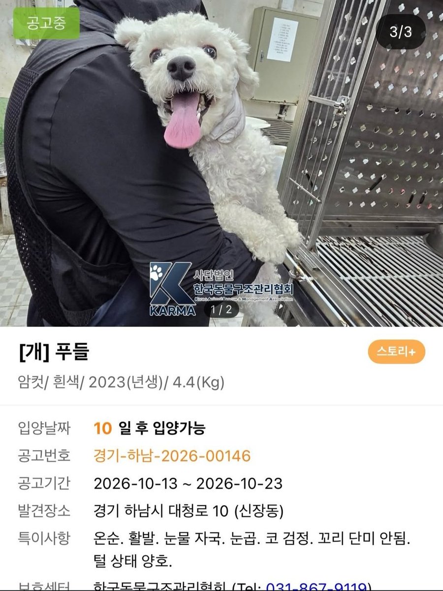 animalrtaccount tweet picture