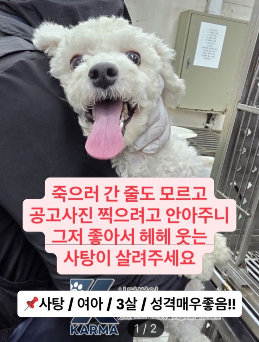 animalrtaccount tweet picture