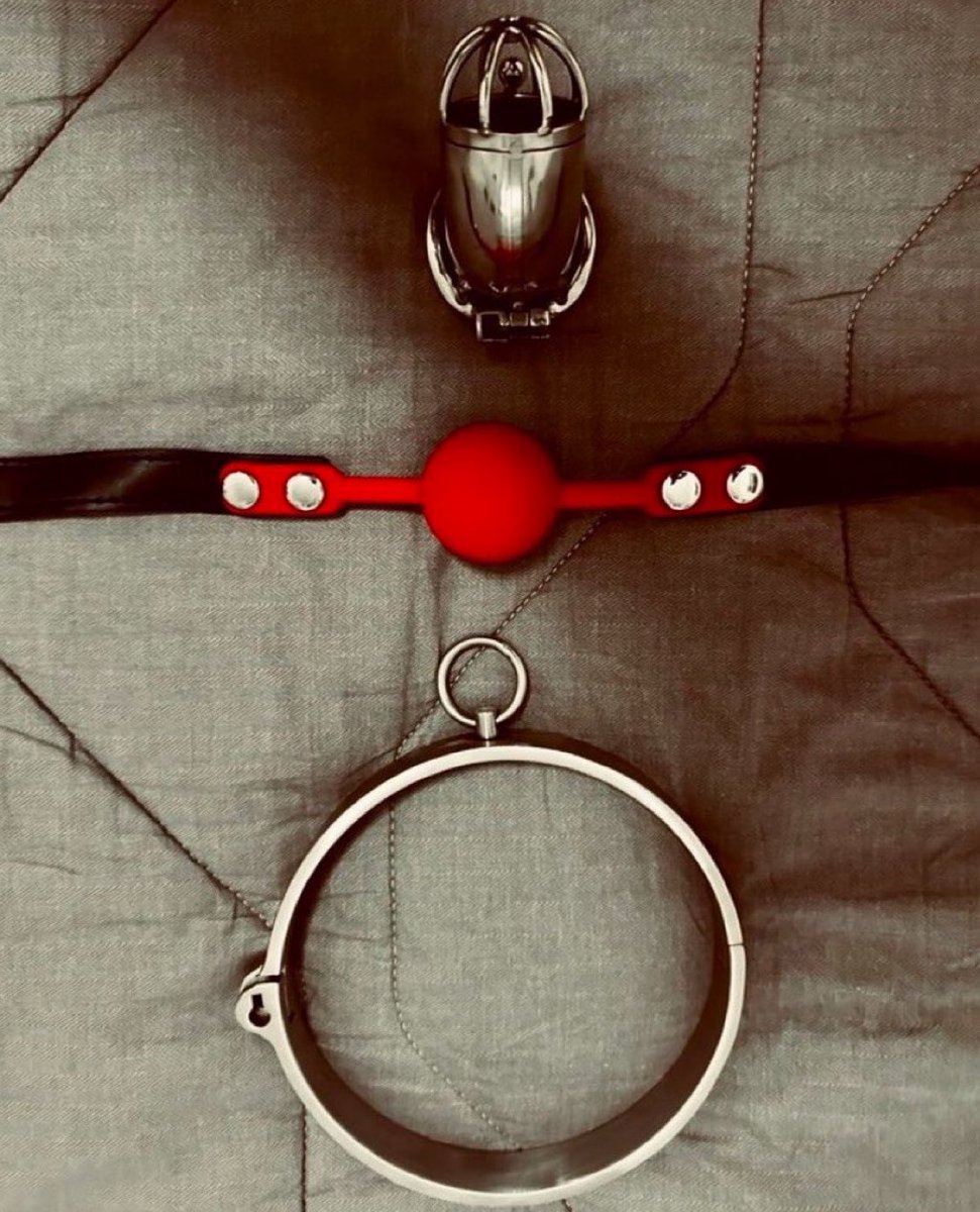 spoilxbella1's tweet photo. Das ist dein Schicksal, kein Entkommen

24/7,

Gesperrt,

Kragen,

Geknebelt,

In einem Käfig,

Auf den Knien,

Bis du nützlich sein kannst 🔐

Like und retweet https://t.co/ygeGNnDijC